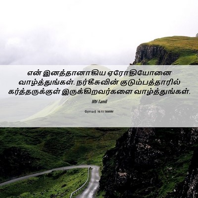 Picture 06 - ரோமர் 16:11 TAMIRV - என் இனத்தானாகிய - Bible Verse Picture