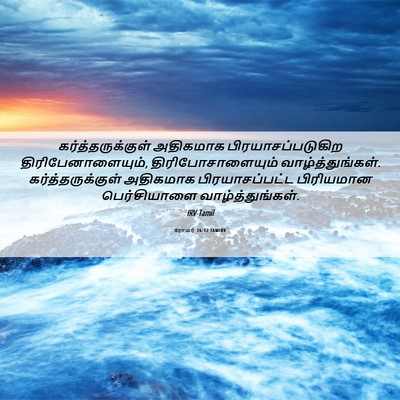 Picture 06 - ரோமர் 16:12 TAMIRV - கர்த்தருக்குள் - Bible Verse Picture