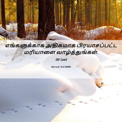 Picture 06 - ரோமர் 16:6 TAMIRV - எங்களுக்காக - Bible Verse Picture
