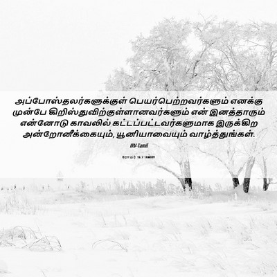 Picture 06 - ரோமர் 16:7 TAMIRV -  - Bible Verse Picture