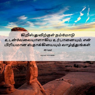 Picture 06 - ரோமர் 16:9 TAMIRV - கிறிஸ்துவிற்குள் - Bible Verse Picture