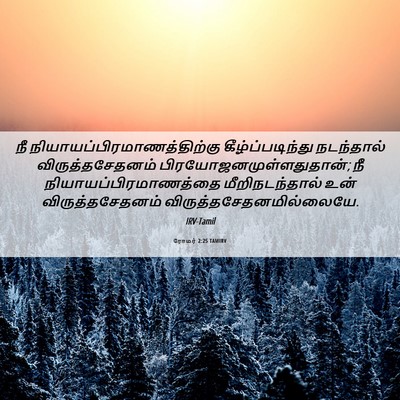 Picture 06 - ரோமர் 2:25 TAMIRV - நீ - Bible Verse Picture