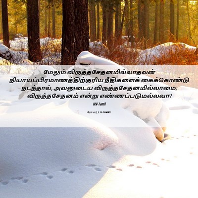 Picture 06 - ரோமர் 2:26 TAMIRV - மேலும் - Bible Verse Picture