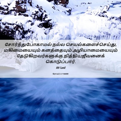 Picture 06 - ரோமர் 2:7 TAMIRV - சோர்ந்துபோகாமல் - Bible Verse Picture
