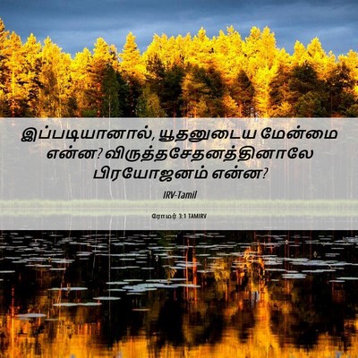 Picture 06 - ரோமர் 3:1 TAMIRV - இப்படியானால், - Bible Verse Picture