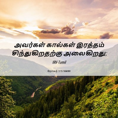 Picture 06 - ரோமர் 3:15 TAMIRV - அவர்கள் கால்கள் - Bible Verse Picture