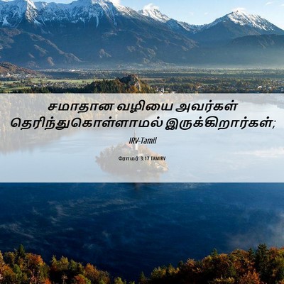 Picture 06 - ரோமர் 3:17 TAMIRV - சமாதான வழியை - Bible Verse Picture