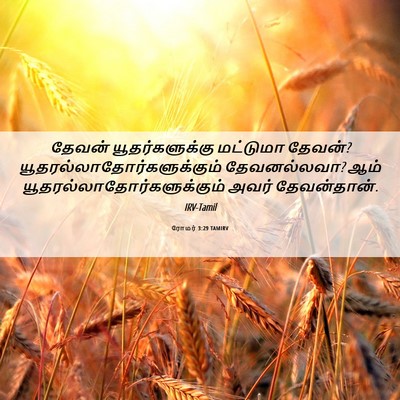 Picture 06 - ரோமர் 3:29 TAMIRV - தேவன் - Bible Verse Picture