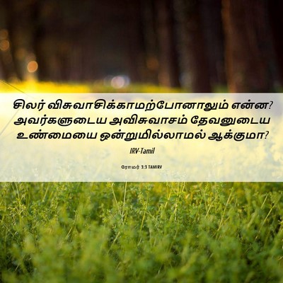 Picture 06 - ரோமர் 3:3 TAMIRV - சிலர் - Bible Verse Picture