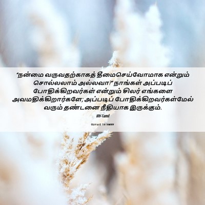 Picture 06 - ரோமர் 3:8 TAMIRV - “நன்மை - Bible Verse Picture