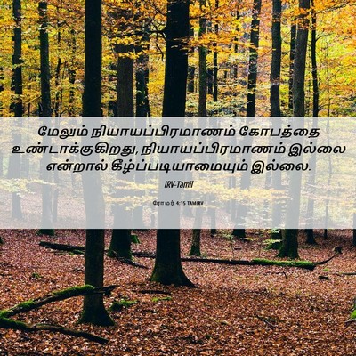 Picture 06 - ரோமர் 4:15 TAMIRV - மேலும் - Bible Verse Picture