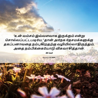 Picture 06 - ரோமர் 4:18 TAMIRV - “உன் வம்சம் - Bible Verse Picture