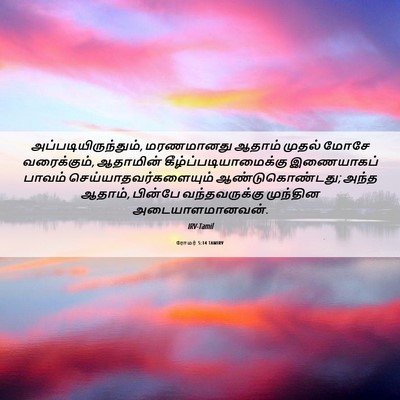 Picture 06 - ரோமர் 5:14 TAMIRV - அப்படியிருந்தும், - Bible Verse Picture