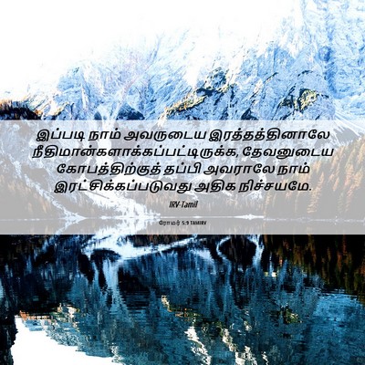 Picture 06 - ரோமர் 5:9 TAMIRV - இப்படி நாம் - Bible Verse Picture
