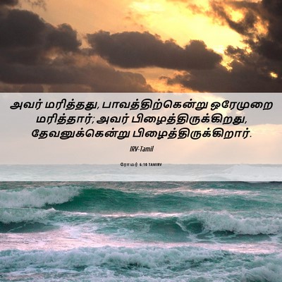 Picture 06 - ரோமர் 6:10 TAMIRV - அவர் மரித்தது, - Bible Verse Picture