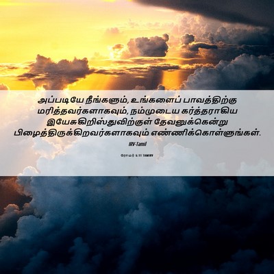 Picture 06 - ரோமர் 6:11 TAMIRV - அப்படியே - Bible Verse Picture