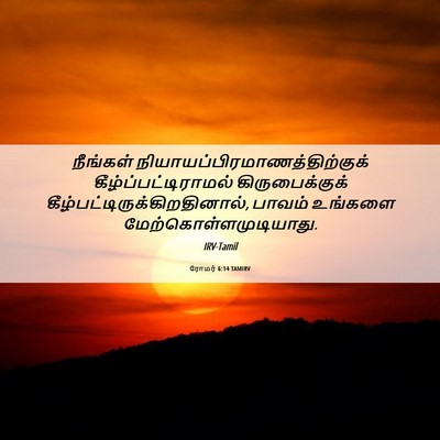 Picture 06 - ரோமர் 6:14 TAMIRV - நீங்கள் - Bible Verse Picture