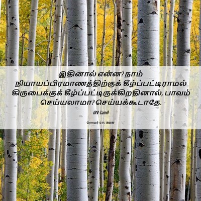 Picture 06 - ரோமர் 6:15 TAMIRV - இதினால் என்ன? நாம் - Bible Verse Picture