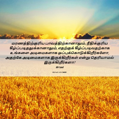 Picture 06 - ரோமர் 6:16 TAMIRV - மரணத்திற்குரிய - Bible Verse Picture