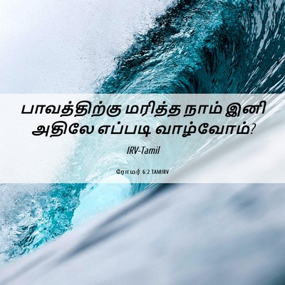 Picture 06 - ரோமர் 6:2 TAMIRV - பாவத்திற்கு - Bible Verse Picture