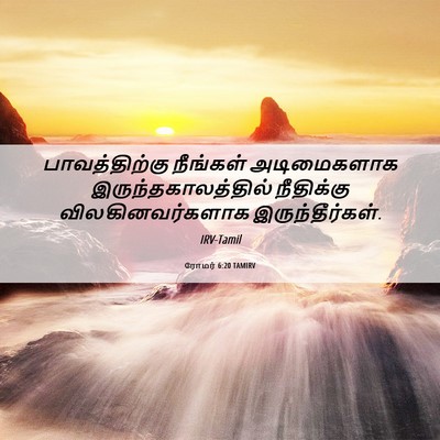 Picture 06 - ரோமர் 6:20 TAMIRV - பாவத்திற்கு - Bible Verse Picture