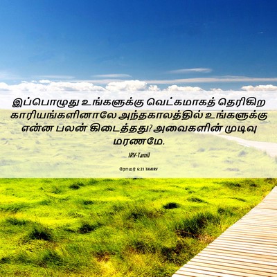 Picture 06 - ரோமர் 6:21 TAMIRV - இப்பொழுது - Bible Verse Picture