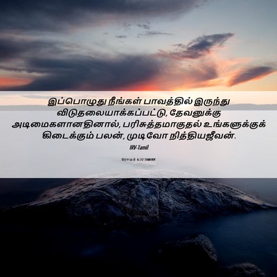 Picture 06 - ரோமர் 6:22 TAMIRV - இப்பொழுது நீங்கள் - Bible Verse Picture