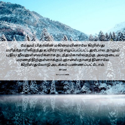 Picture 06 - ரோமர் 6:4 TAMIRV - மேலும் பிதாவின் - Bible Verse Picture
