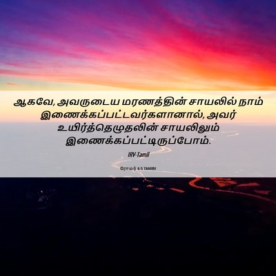 Picture 06 - ரோமர் 6:5 TAMIRV - ஆகவே, அவருடைய - Bible Verse Picture