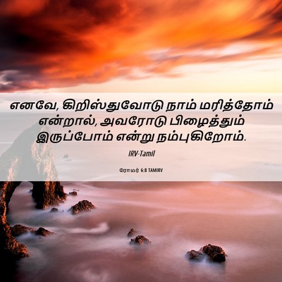 Picture 06 - ரோமர் 6:8 TAMIRV - எனவே, - Bible Verse Picture