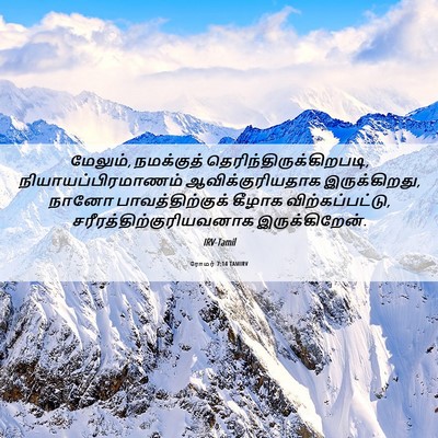 Picture 06 - ரோமர் 7:14 TAMIRV - மேலும், நமக்குத் - Bible Verse Picture