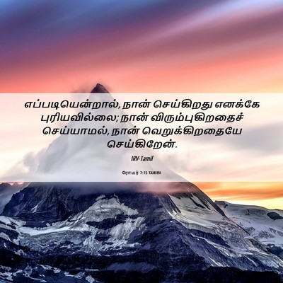 Picture 06 - ரோமர் 7:15 TAMIRV - எப்படியென்றால், - Bible Verse Picture