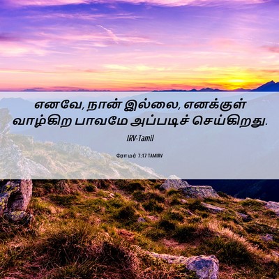 Picture 06 - ரோமர் 7:17 TAMIRV - எனவே, நான் இல்லை, - Bible Verse Picture