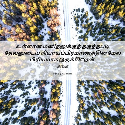 Picture 06 - ரோமர் 7:22 TAMIRV - உள்ளான - Bible Verse Picture