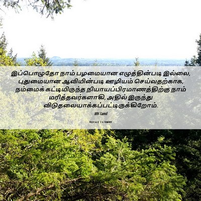 Picture 06 - ரோமர் 7:6 TAMIRV - இப்பொழுதோ நாம் - Bible Verse Picture