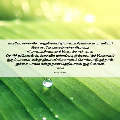 Picture 06 - ரோமர் 7:7 TAMIRV - எனவே, - Bible Verse Picture