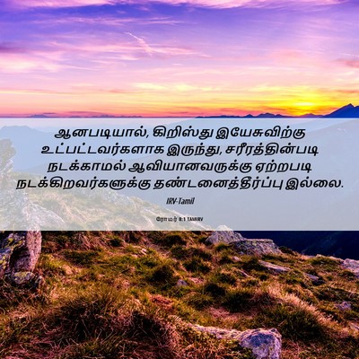 Picture 06 - ரோமர் 8:1 TAMIRV - ஆனபடியால், - Bible Verse Picture