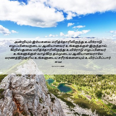 Picture 06 - ரோமர் 8:11 TAMIRV - அன்றியும் இயேசுவை - Bible Verse Picture