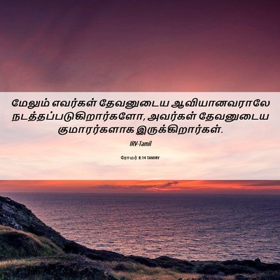 Picture 06 - ரோமர் 8:14 TAMIRV - மேலும் எவர்கள் - Bible Verse Picture