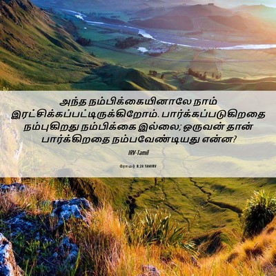 Picture 06 - ரோமர் 8:24 TAMIRV - அந்த - Bible Verse Picture
