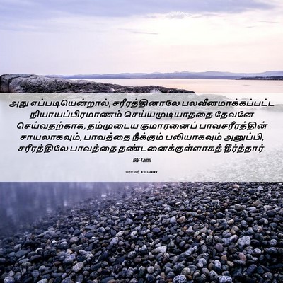 Picture 06 - ரோமர் 8:3 TAMIRV - அது - Bible Verse Picture