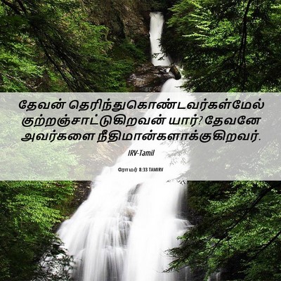 Picture 06 - ரோமர் 8:33 TAMIRV - தேவன் - Bible Verse Picture