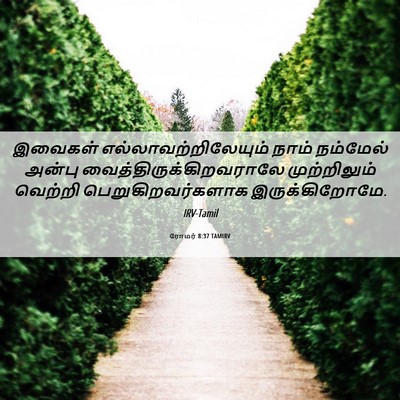 Picture 06 - ரோமர் 8:37 TAMIRV - இவைகள் - Bible Verse Picture