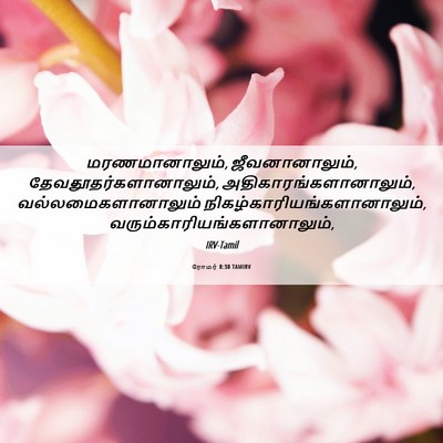 Picture 06 - ரோமர் 8:38 TAMIRV - மரணமானாலும், - Bible Verse Picture