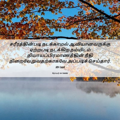 Picture 06 - ரோமர் 8:4 TAMIRV - சரீரத்தின்படி - Bible Verse Picture