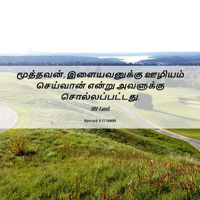 Picture 06 - ரோமர் 9:12 TAMIRV - மூத்தவன், - Bible Verse Picture