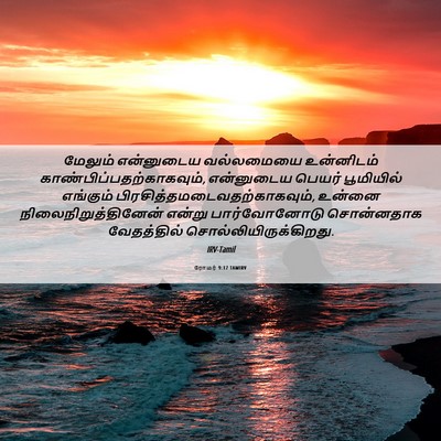 Picture 06 - ரோமர் 9:17 TAMIRV - மேலும் என்னுடைய - Bible Verse Picture