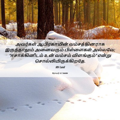 Picture 06 - ரோமர் 9:7 TAMIRV - அவர்கள் - Bible Verse Picture
