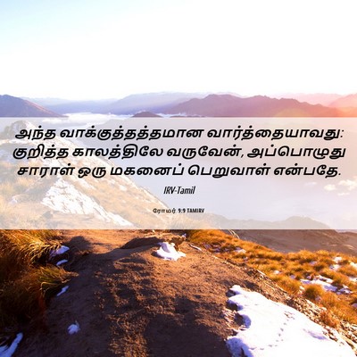 Picture 06 - ரோமர் 9:9 TAMIRV - அந்த - Bible Verse Picture