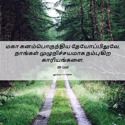 Picture 06 - லூக்கா 1:1 TAMIRV - மகா கனம்பொருந்திய - Bible Verse Picture